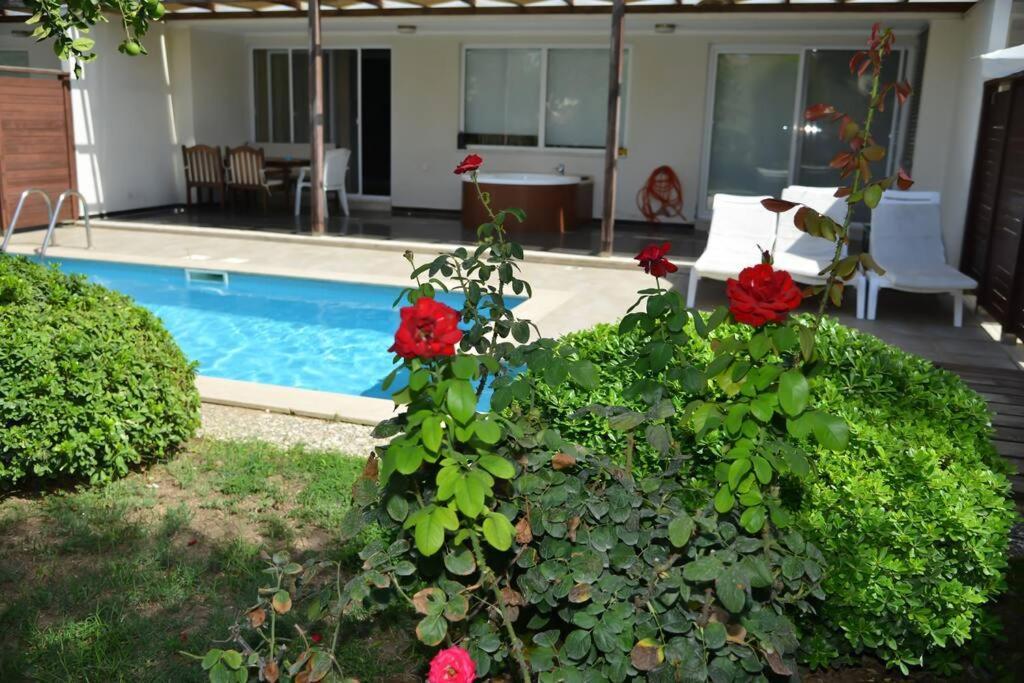 Appartement - Kumkoy - Babylon W/private Pool *
